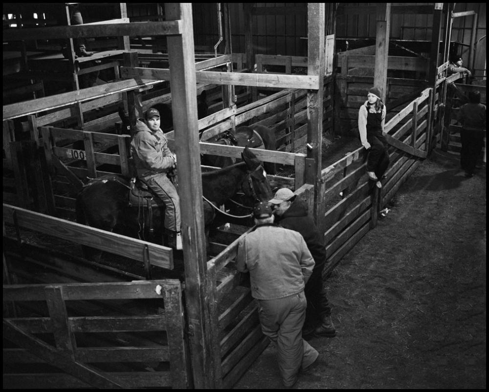 Charles A. Meyer: Man Sitting on Mule